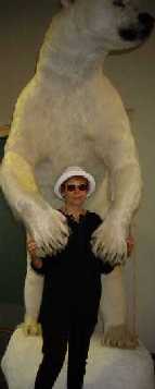 Marghe tames the Beast-sad, verily look at the size of this magnificent Polar Bear!