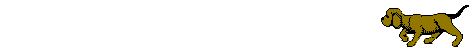 animal14.gif