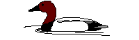 animal15.gif