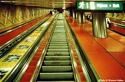 K&aacute;lvin T&eacute;r