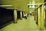 K&aacute;lvin T&eacute;r