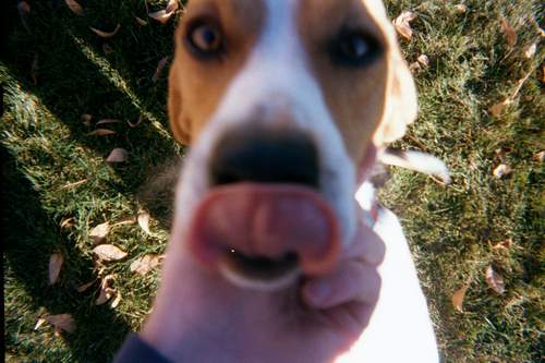 Just a little closer, and i'll clean your chin!