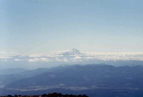 Mt. Hood in the distance