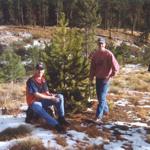Mike and Ryan's perfect Christmas tree