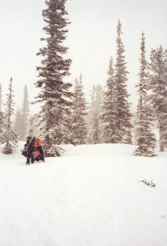 Josh beaking the trail