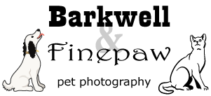 Barkwell and Finepaw