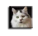 Uther