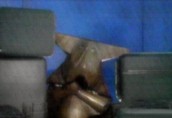 Step 1: Break out of statue