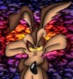 Wile E. Coyote