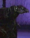 Halosians