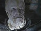 Plokavians