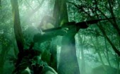 Trees!