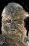 Chewbacca