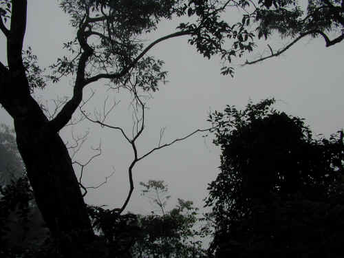 DSCN0990.JPG (155344 Byte)
