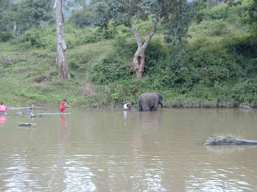 DSCN1046.JPG (179349 Byte)