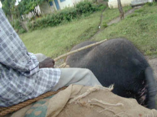 DSCN1050.JPG (179905 Byte)