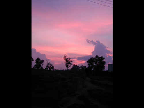DSCN1085a.jpg (80178 Byte)