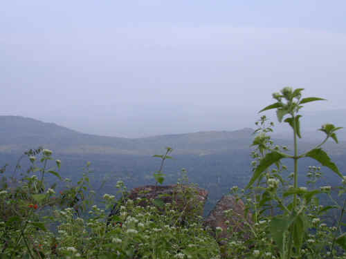 DSCN1095.JPG (164112 Byte)