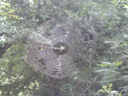 DSCN1108.JPG (164681 Byte)