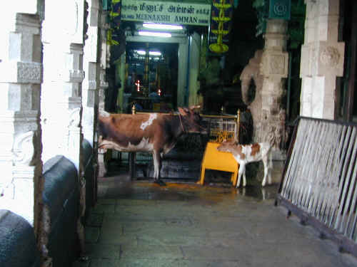 DSCN1261.JPG (345758 Byte)
