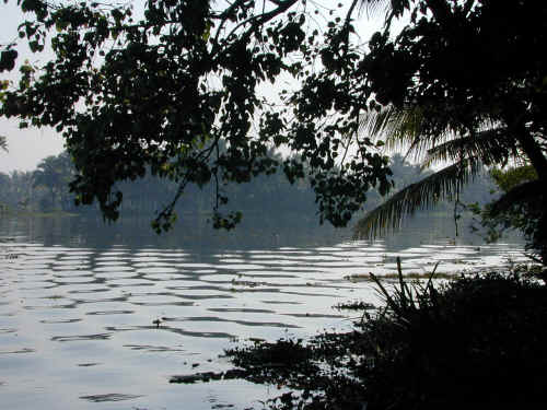 DSCN1581.JPG (295495 Byte)
