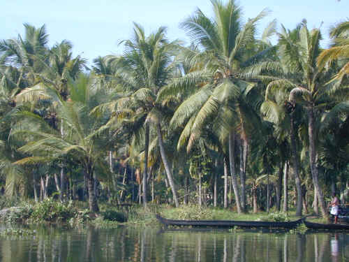 DSCN1590.JPG (186933 Byte)