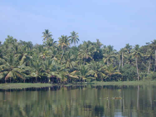 DSCN1600.JPG (351224 Byte)