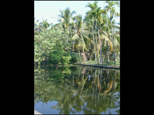 DSCN1602a.jpg (186307 Byte)