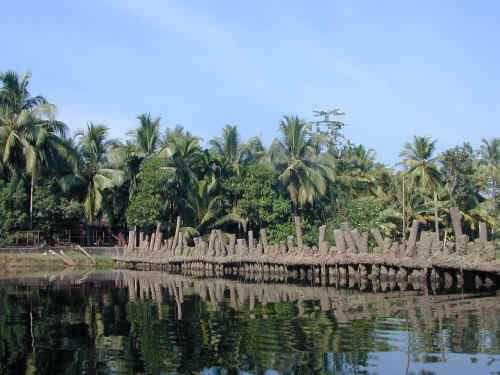 DSCN1605.JPG (168904 Byte)