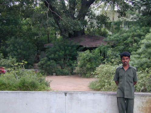 Dscn0412.jpg (183325 bytes)
