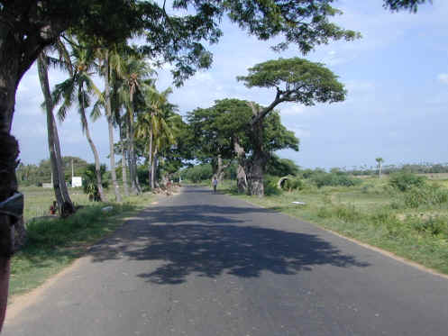 foto 01