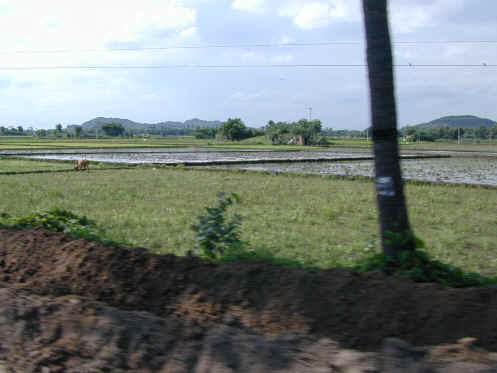 foto 02