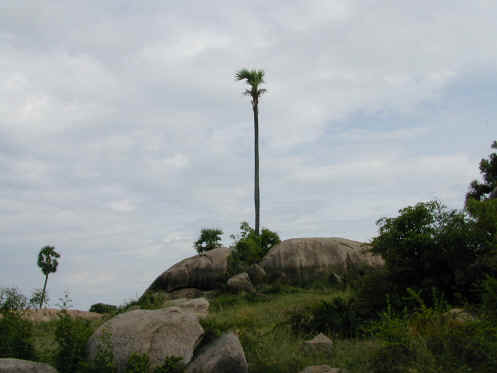foto 04