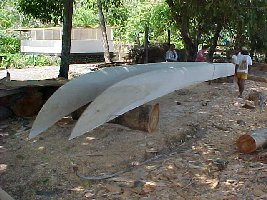 Construction d'une pirogue double &agrave; Altoona