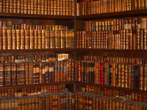 La biblioth&egrave;que des cannibales