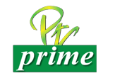 pakistan television prime