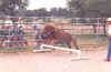 Little Buckaroo Field Trip (70518 bytes)