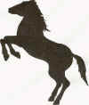 Little Buckaroo Ranch pony logo.