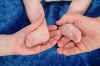 04StudioFeet1.jpg (33038 bytes)