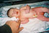 Newborn3.jpg (211309 bytes)