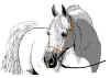 TWO OF OUR BROWNIES CREATED THIS HORSE PAGE