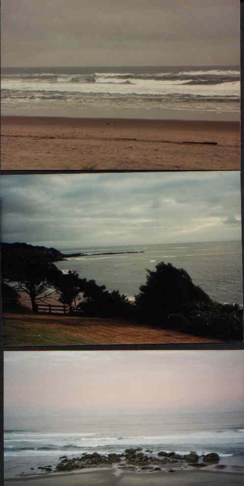 Fogerty Bay 