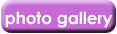 photo_gallery_copy.gif (2160 bytes)