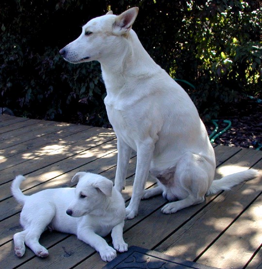 Father and Son