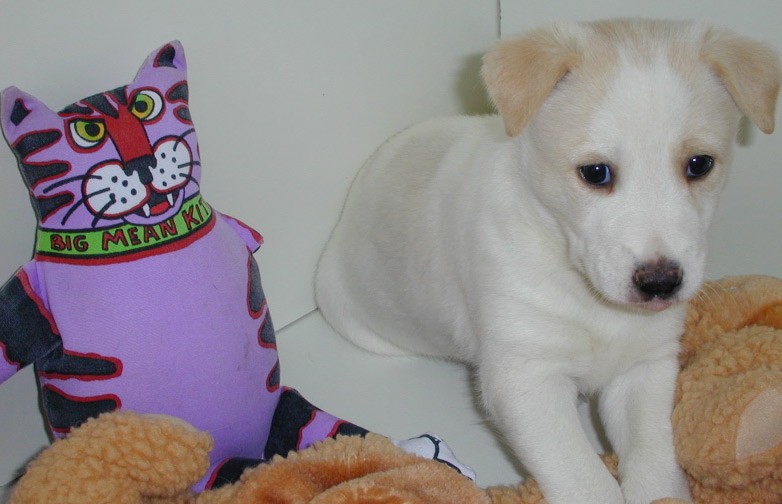 Kita at 5 weeks