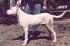argon de bravure blanche 