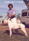 indio del litoral