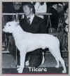 tilcara.jpg (10807 bytes)