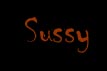 Information on SUSSY