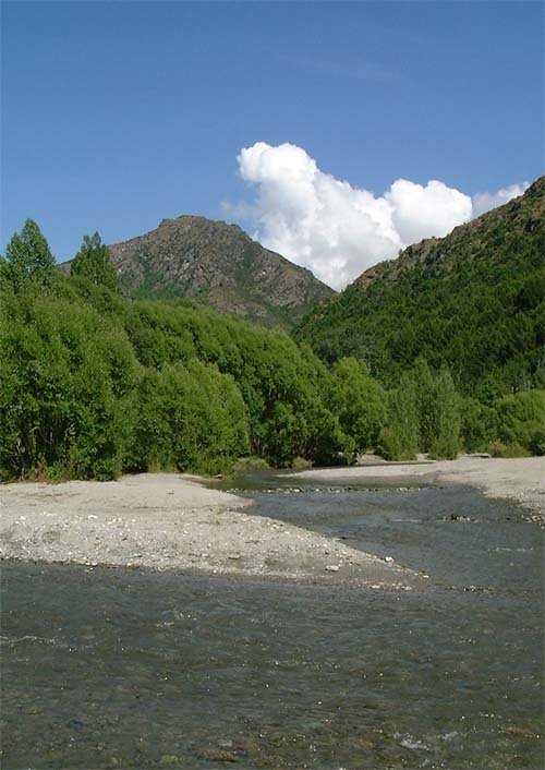 Arrowriver2001.JPG (59369 bytes)